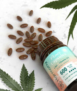 Bonbon CBD stress - Harmony